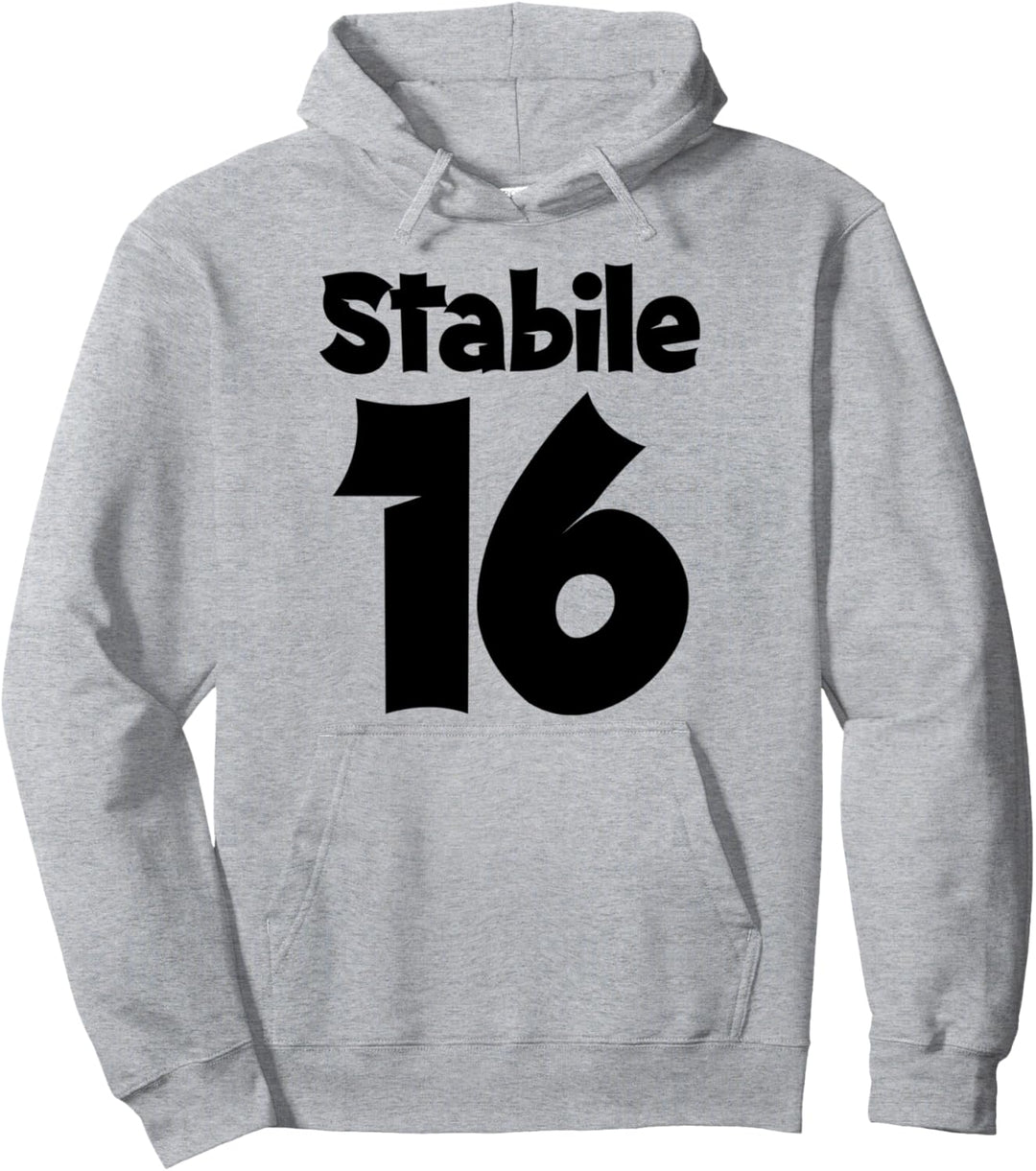 Stabile 16 - 16. Geburtstag Mädchen Junge lustig stabiles Pullover Hoodie