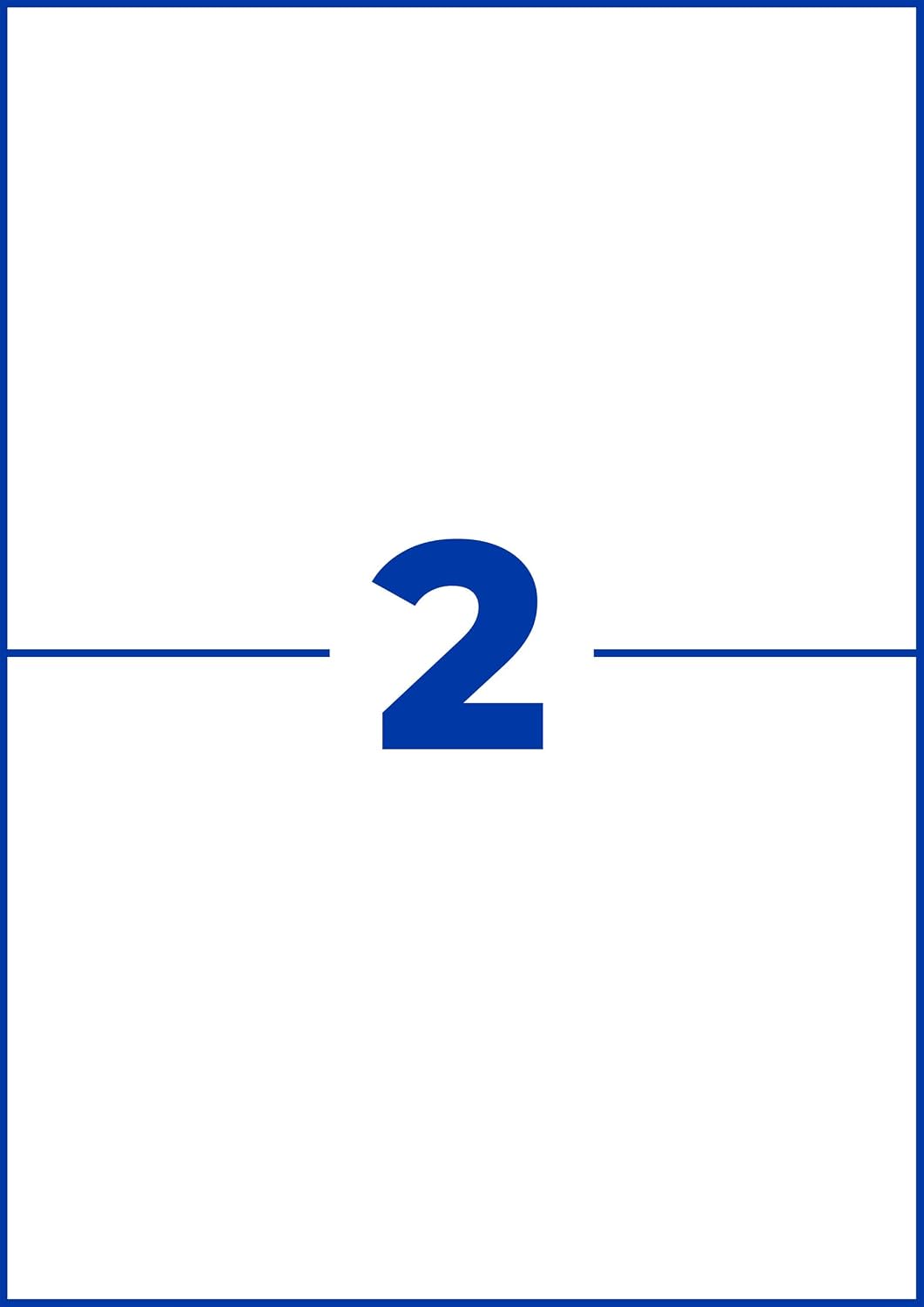 AVERY Zweckform 3655 Universal Etiketten (200 Klebeetiketten, 210x148mm auf A4, bedruckbare Versande