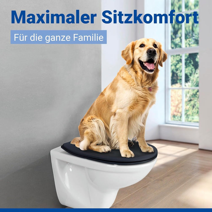 WENKO WC-Sitz Sedilo matt Schwarz, flacher Toilettensitz mit Absenkautomatik, hygienischer WC-Deckel