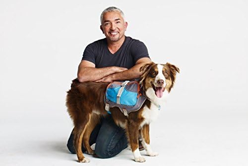 Cesar Millan Dog Backpack™ - Hunderucksack des Hundeflüsterers Cesar Millan™, L