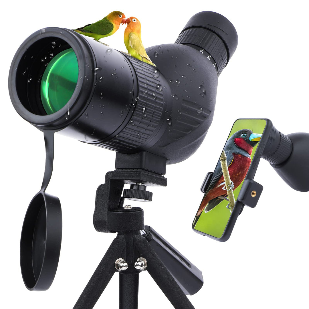 Neueste 12-36x50mm Compact Micro Spektiv - bewegliches wasserdichtes Spotter Scope mit BAK4 -Einblic