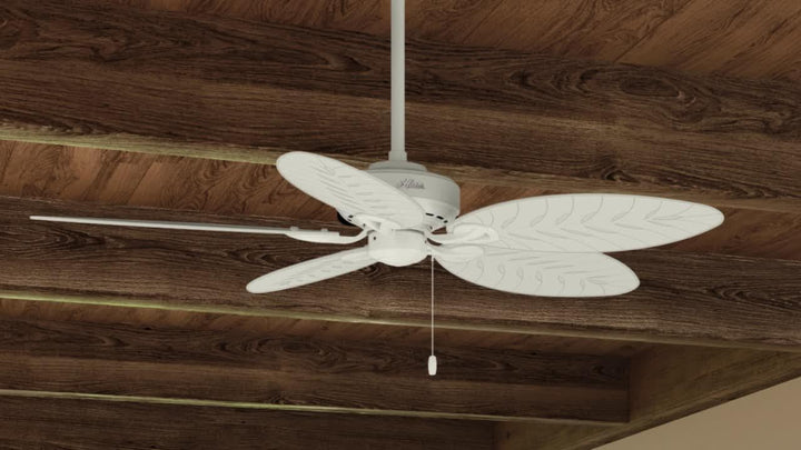 HUNTER FAN Deckenventilator Bayview 137 cm für den Innen- und Aussenbereich, mit Zugkette, 5 austaus