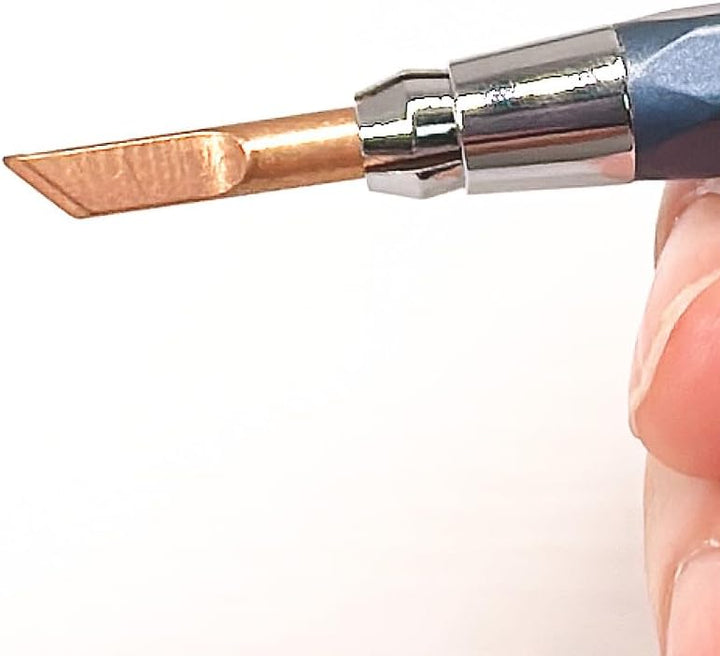 shrxy Münzreinigungsstift-Set und Reinigungs-Bambusstäbchen