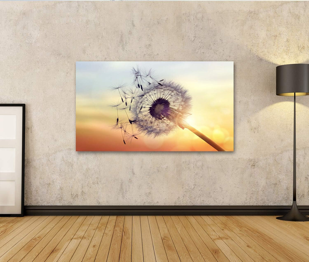islandburner Bild auf Leinwand Löwenzahn Silhouette gegen Sonnenuntergang Samen Blowing Wind Wandbil