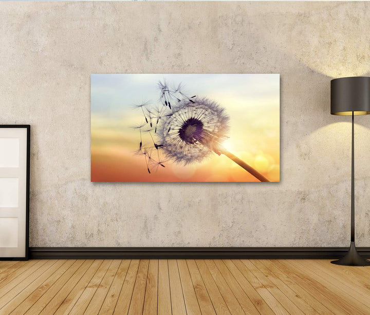 islandburner Bild auf Leinwand Löwenzahn Silhouette gegen Sonnenuntergang Samen Blowing Wind Wandbil