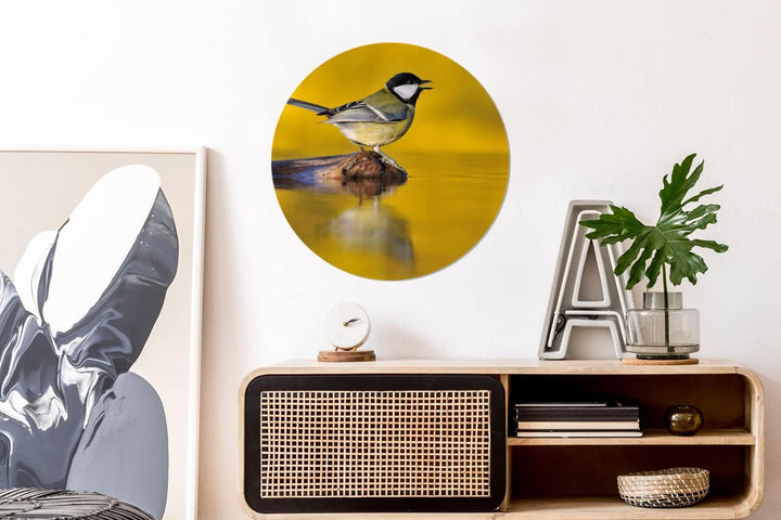 MuchoWow Wandbild Rund Wanddeko Deko Wohnzimmer Bilder 60x60 cm Kohlmeise - Vogel - Wasser, 60x60 cm
