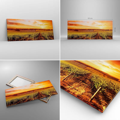 Wandbilder Dekoration Wohnzimmer Weinberg Aussicht Landschaft Panorama Bilder auf Leinwand 120x50cm