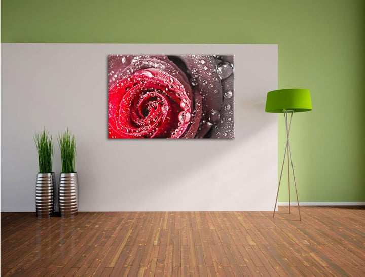 Pixxprint Rose mit Wassertropfen als Leinwandbild/Grösse: 100x70 cm/Wandbild/Kunstdruck/fertig bespa
