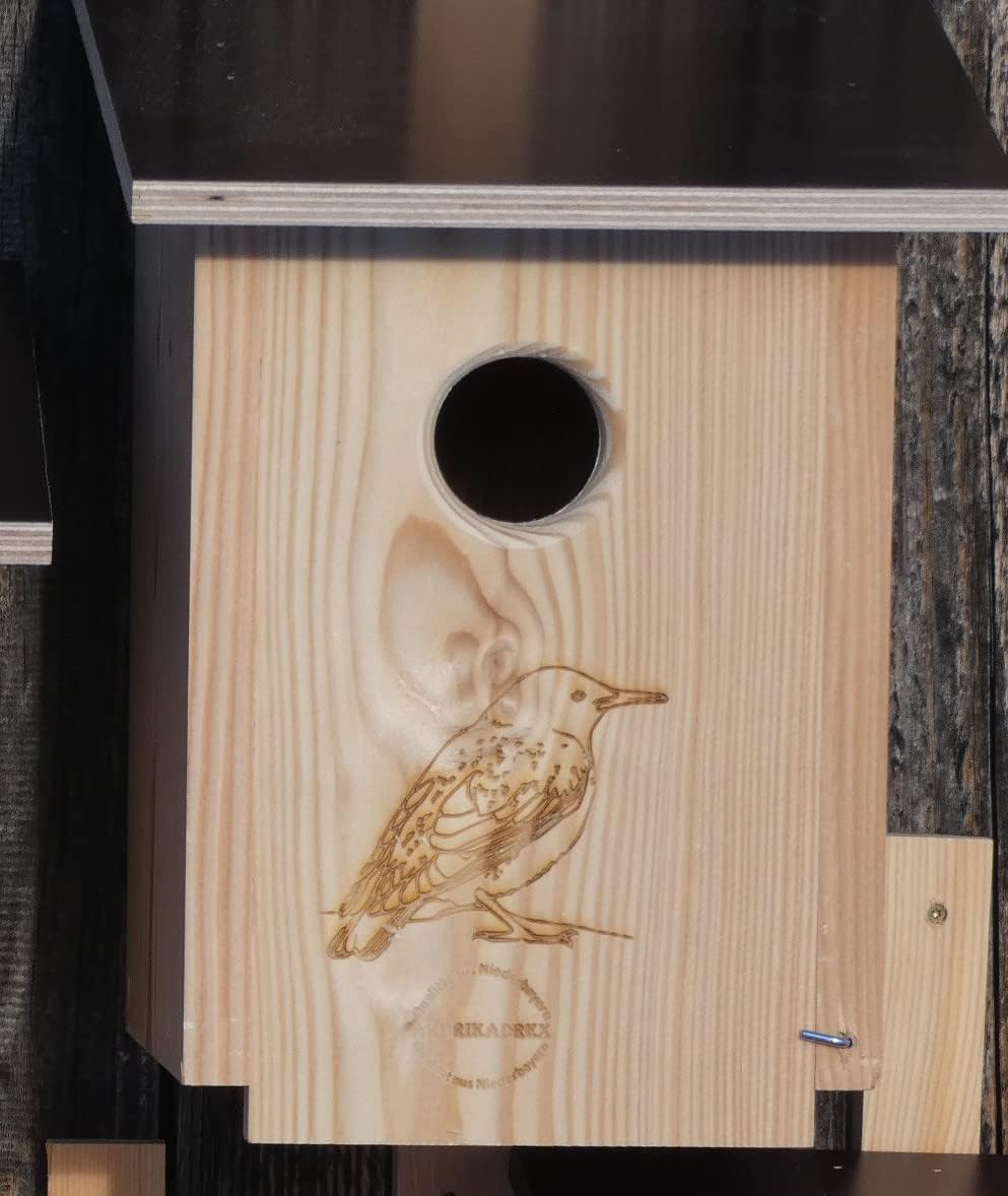 Premium Natur Lärchenholz Nistkasten unbehandelt nach Nabu, massives Vogelhaus Nisthilfe wetterfest