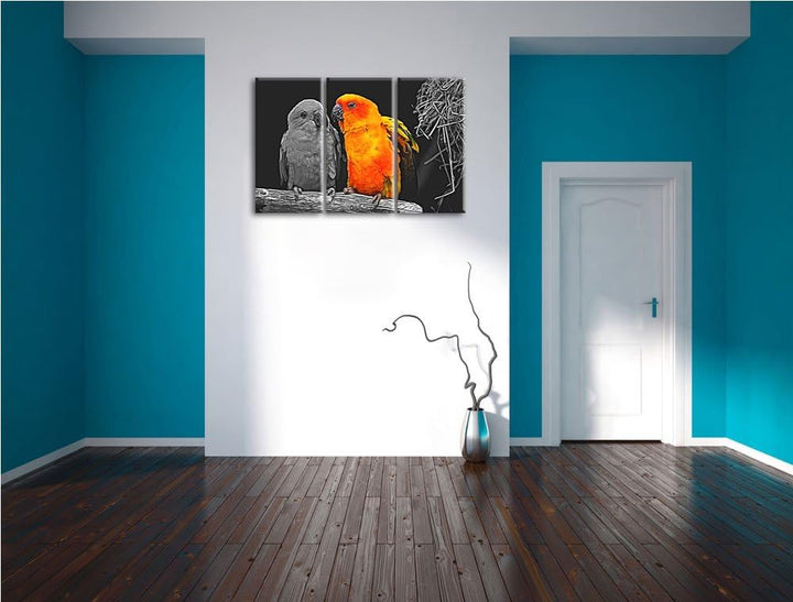 Dark zwei hübsche Sonnensittiche schwarz/weiss Spezial 3-Teiler Leinwandbild 120x80 Bild auf Leinwan