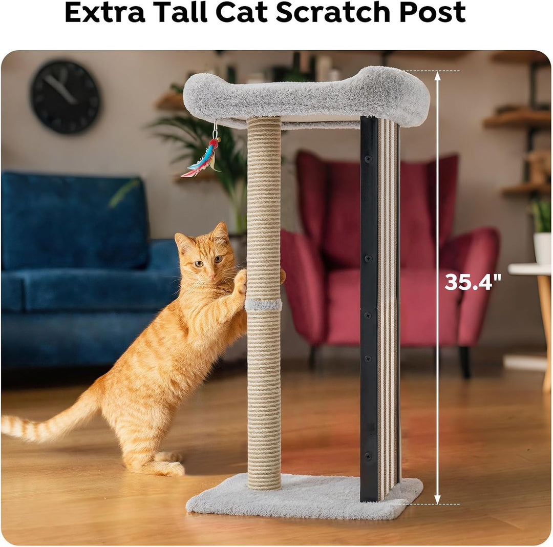Veehoo Kratzbaum Klein Katzen Stabil, 90 cm Katzenkratzbaum Hoch mit Kratzbrett und Hängespielzeug,