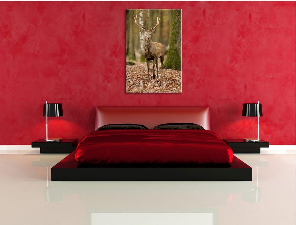 Schöner Hirsch im Wald, Format: 100x70 auf Leinwand, XXL riesige Bilder fertig gerahmt mit Keilrahme