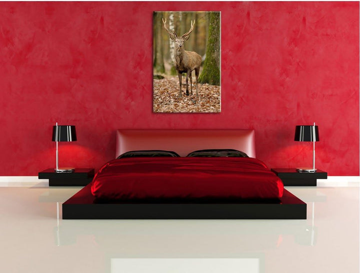 Schöner Hirsch im Wald, Format: 100x70 auf Leinwand, XXL riesige Bilder fertig gerahmt mit Keilrahme