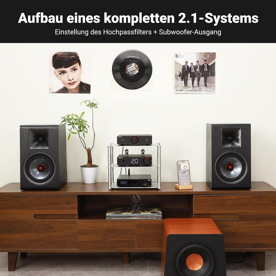 AIYIMA A20 Symmetrischer Stereoverstärker mit HPF-Einstellung Home HiFi 2.0/2.1 TPA3255 Desktop-Vers