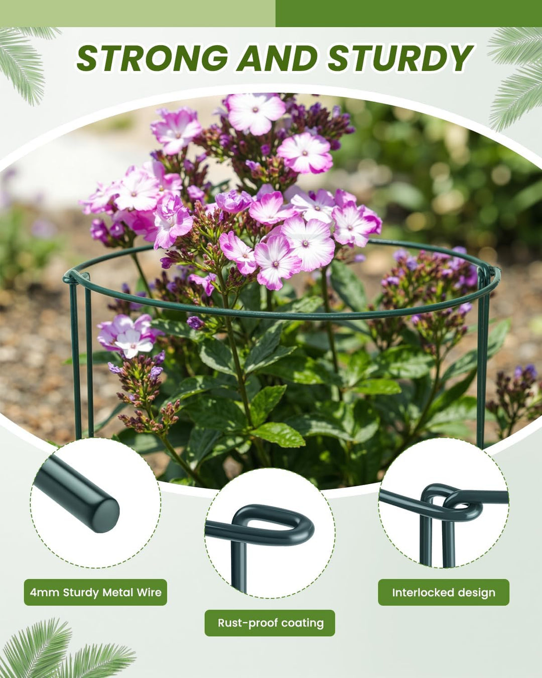 10 Stück Pflanzenstütze Ringkäfige, Garden Sage Metall Halbrund Grüner Pflanzenstützen für Gemüse, T