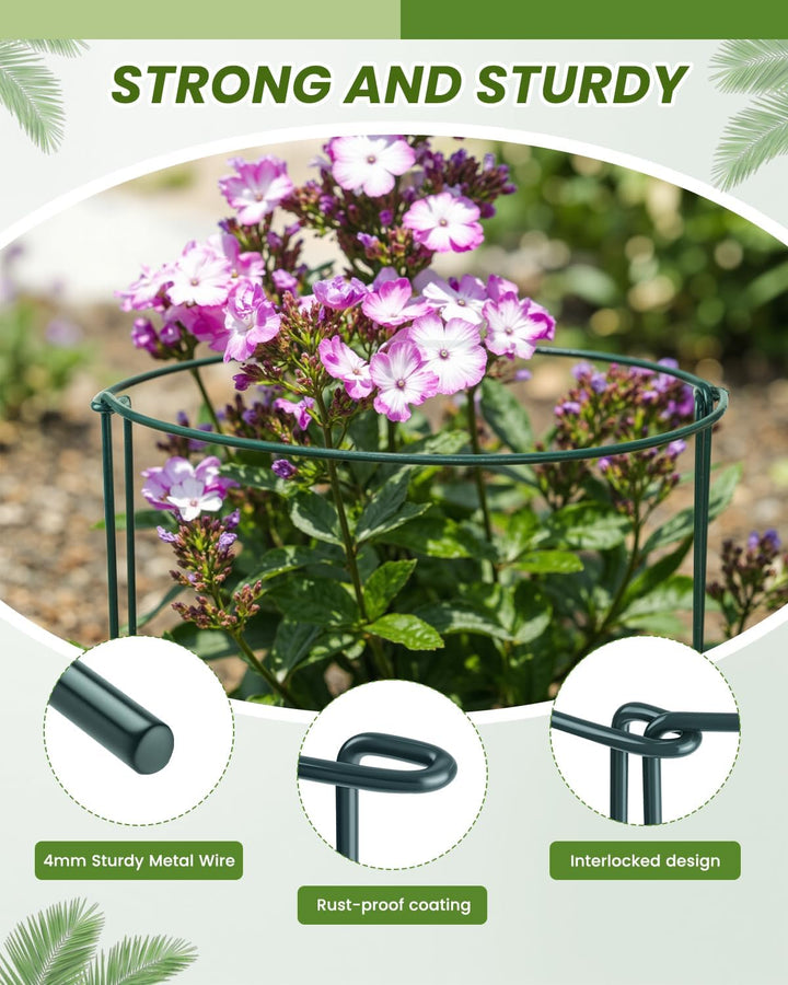 10 Stück Pflanzenstütze Ringkäfige, Garden Sage Metall Halbrund Grüner Pflanzenstützen für Gemüse, T