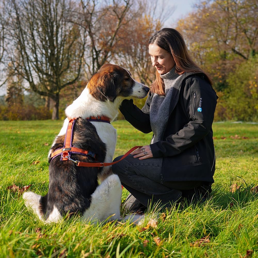 Anny-X Brustgeschirr Fun | Limited Edition Pflaume trifft Zimt | Hundegeschirr Grösse XXS (Brustumfa