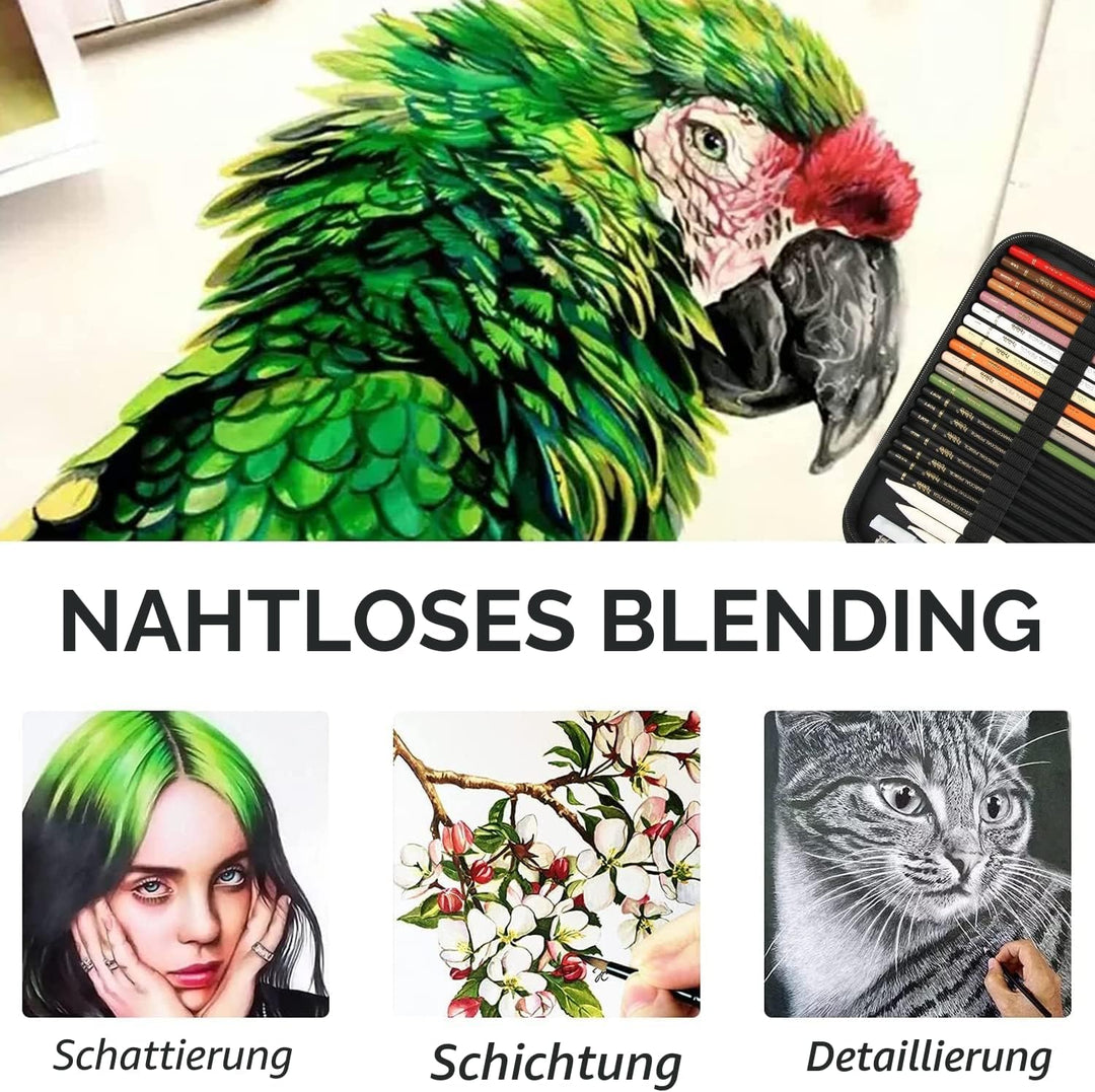 hhhouu Farbige Kohlestiften Set,Professionelle Skizze Stift Werkzeuge mit Papierwischer, Knetbarer K