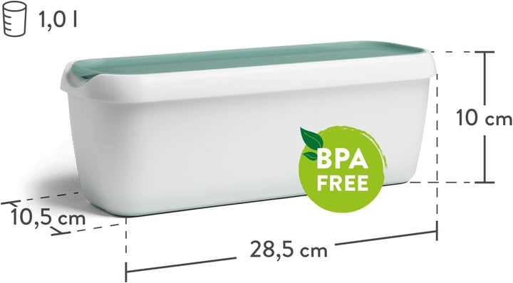 SPRINGLANE 2er-Set Eisbehälter für Speiseeis 1 L, Aufbewahrungsbehälter, Gefrierdosen, Eis-Container