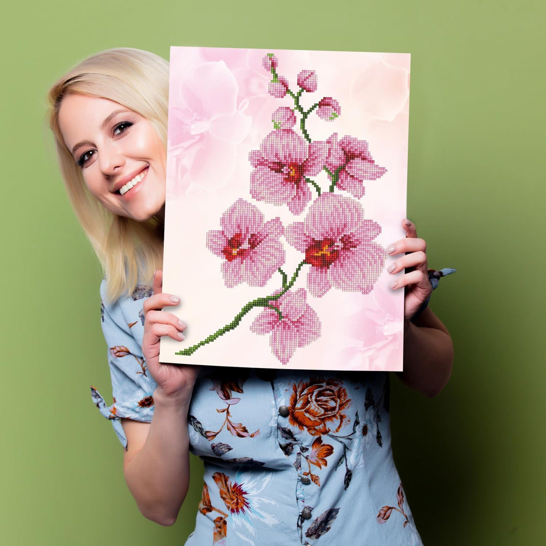 DIAMOND DOTZ Diamant-Malerei-Set, mittelgross, DD6, Orchideenspray, 37 x 27 cm 37 x 27cm Orchideensp