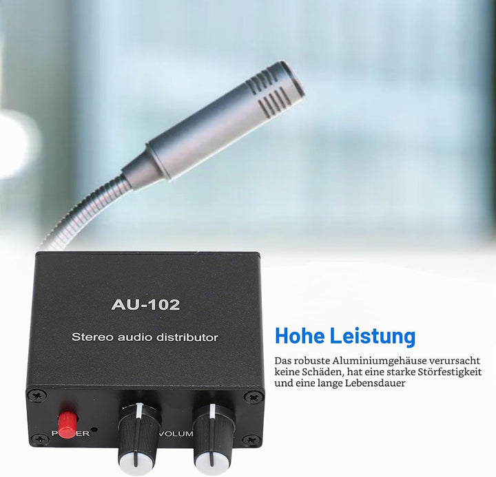 2 Kanal Soundverstärker, Stereo Audio Vorverstärker, Heim Audio HiFi Stereo Verstärker Empfänger, 1