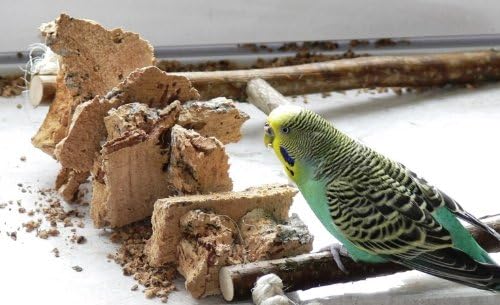 Vogelgaleria® Kork Pickstein Knabberparadies für Wellensittich, Nymphensittich und Unzertrennliche i
