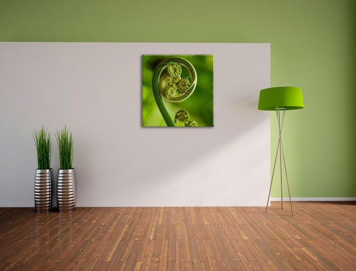 Pixxprint Lockiges Blatt von Einer Farne im Wald, Format: 70x70 auf Leinwand, 70x70