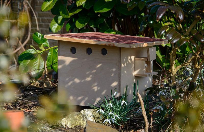 Luxus-Insektenhotels 28275e Grosser Hummelnistkasten - Hummelhaus aus Holz - Hummelkasten inkl Nistm