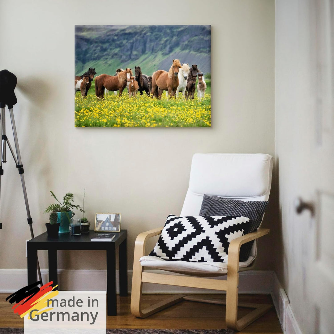 ARTland Leinwandbilder Wandbild Bild auf Leinwand 80x60 cm Wanddeko Pferd Wildpferde Herde Isländer