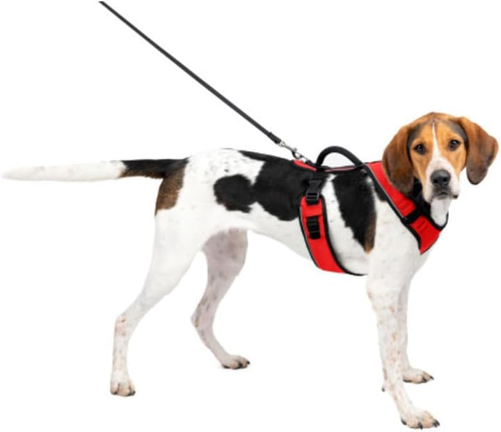 PetSafe EasySport Hundegeschirr, Komplett gepolstert mit elastischem Halsteil, Für Hunde von 29,5 kg