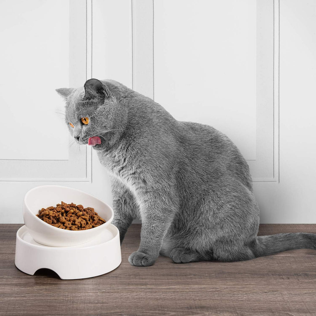 CatGuru Futtertisch für Katzennapf, rutschfeste Haustier-Futterstation für Katzenfutternäpfe, erhöht