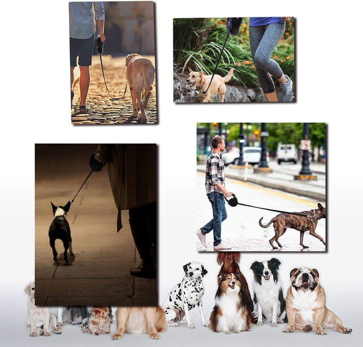 Rollleinen für Hunde, SUPERNIGHT 8M Einziehbar Hundeleine für Samll Mittelgrosse und grosse Hunde bi