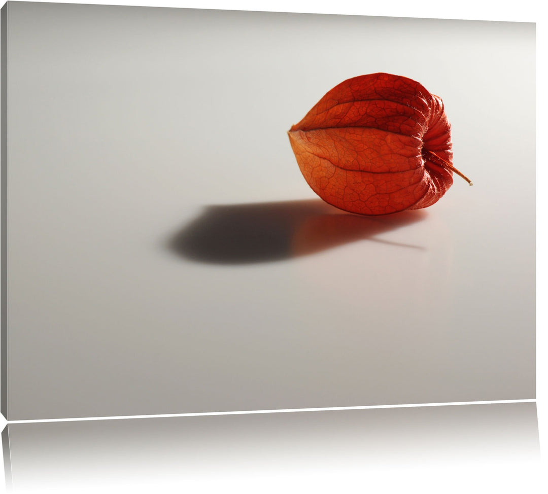 Pixxprint kleine Physalis auf Leinwand, XXL riesige Bilder fertig gerahmt mit Keilrahmen, Kunstdruck