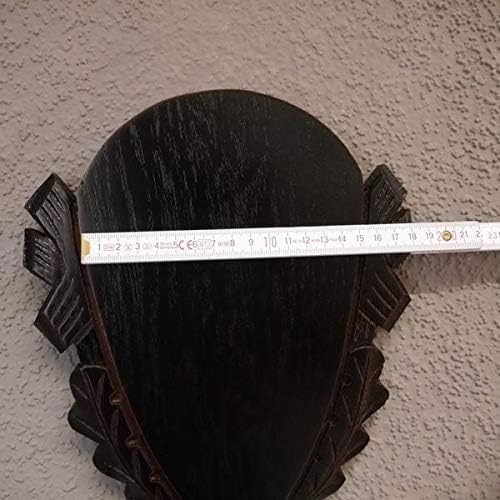 Trophäenschild geschnitzt Damhirsch Rothirsch Hirsch Geweih Hirschgeweih AF H25 cm