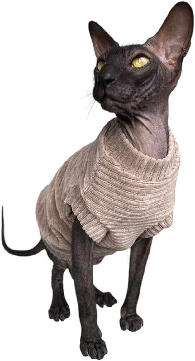 Kotomoda Katzen-T-Shirt aus Cord fьr Sphynx und nackte Katzen (Medium, Taupe) mittel taupe, mittel t