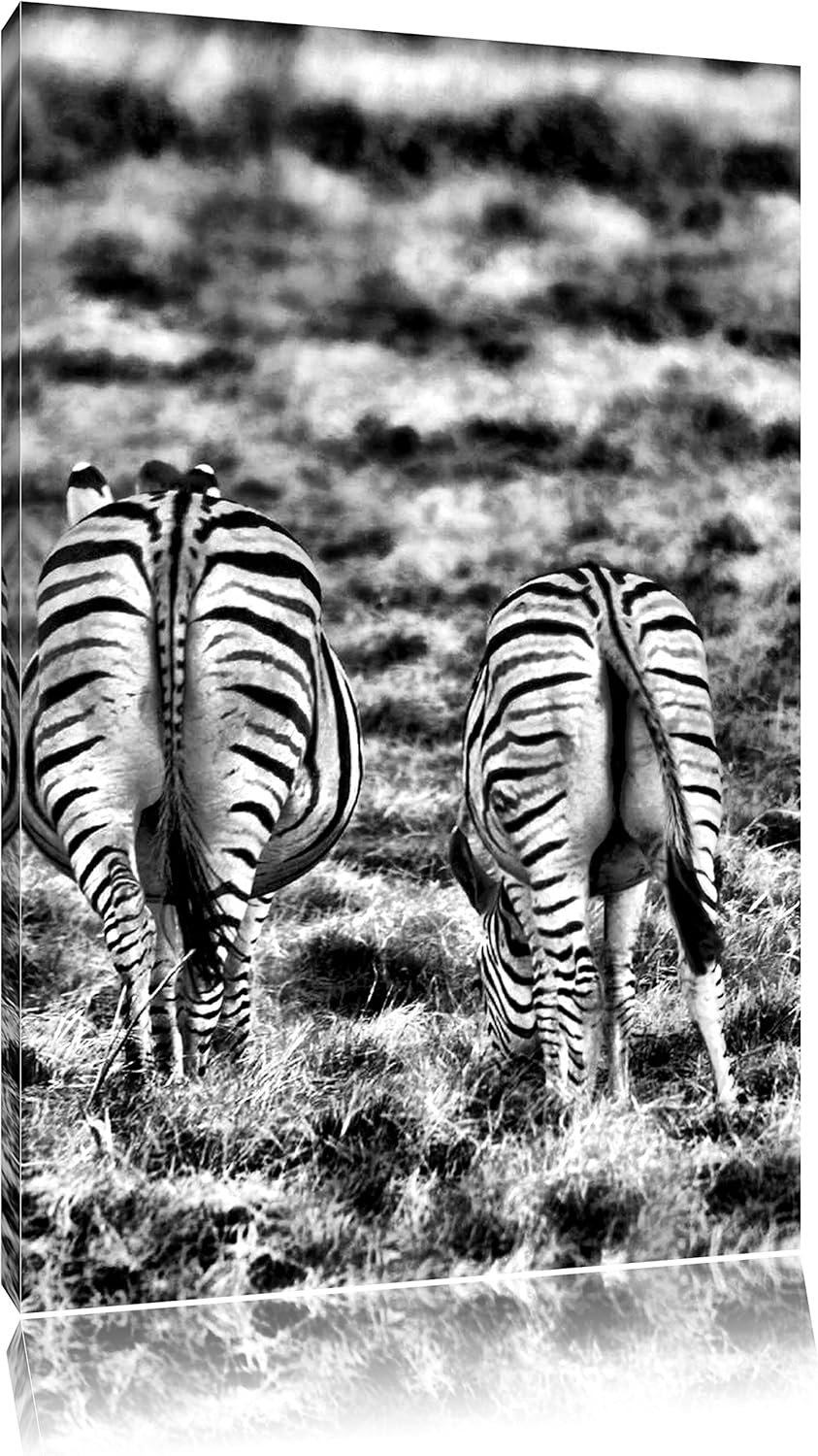 Pixxprint Monocrome, Zebras mit weissen Vögeln, Format: 100x70 auf Leinwand, 100x70