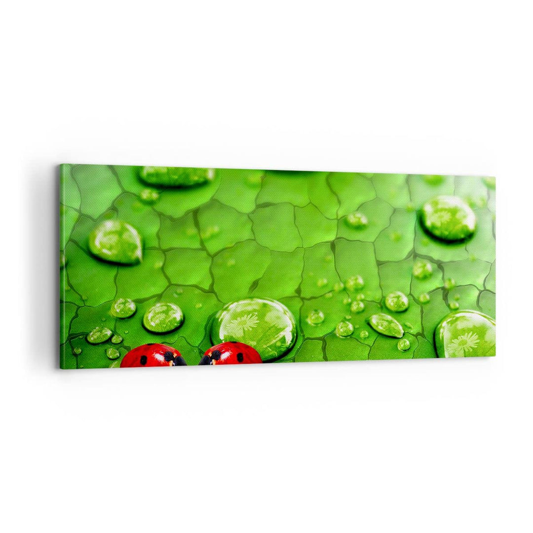 Panorama Bilder auf Leinwand 100x40cm Leinwandbild Marienkäfer Gras Blatt Tropfen Gross Wanddeko Bil