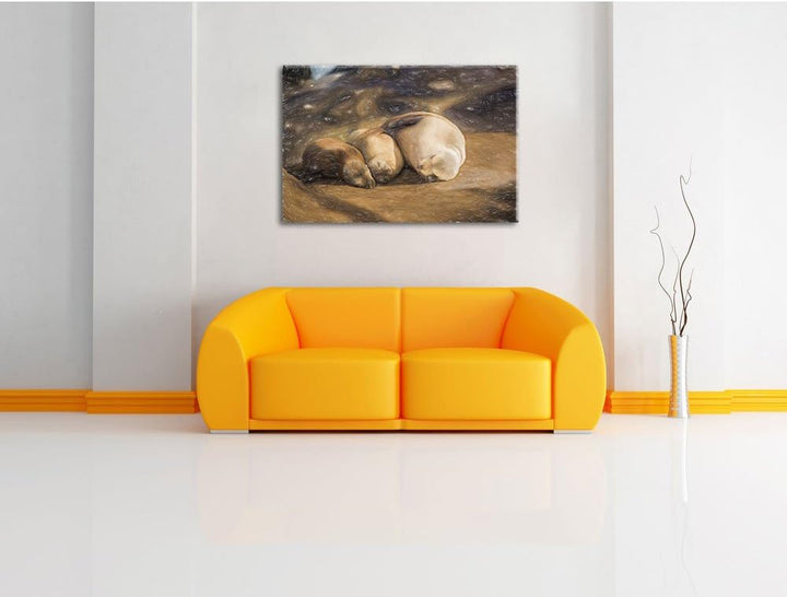 Pixxprint Familie Seelöwen in der Sonne als Leinwandbild/Grösse: 100x70 / Wandbild/Kunstdruck/fertig