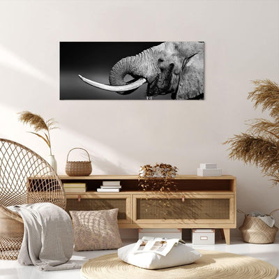 Panorama Bilder auf Leinwand 100x40cm Leinwandbild Elefant Stosszahn Natur Gross Wanddeko Bild Schla