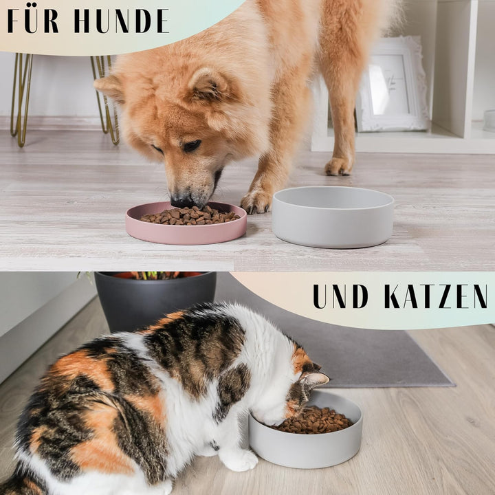 ne&amp;no® Silikon Hundenapf 1200 ml mit Deckel für kleine und mittelgrosse Hunde | im Kühlschrank luftd