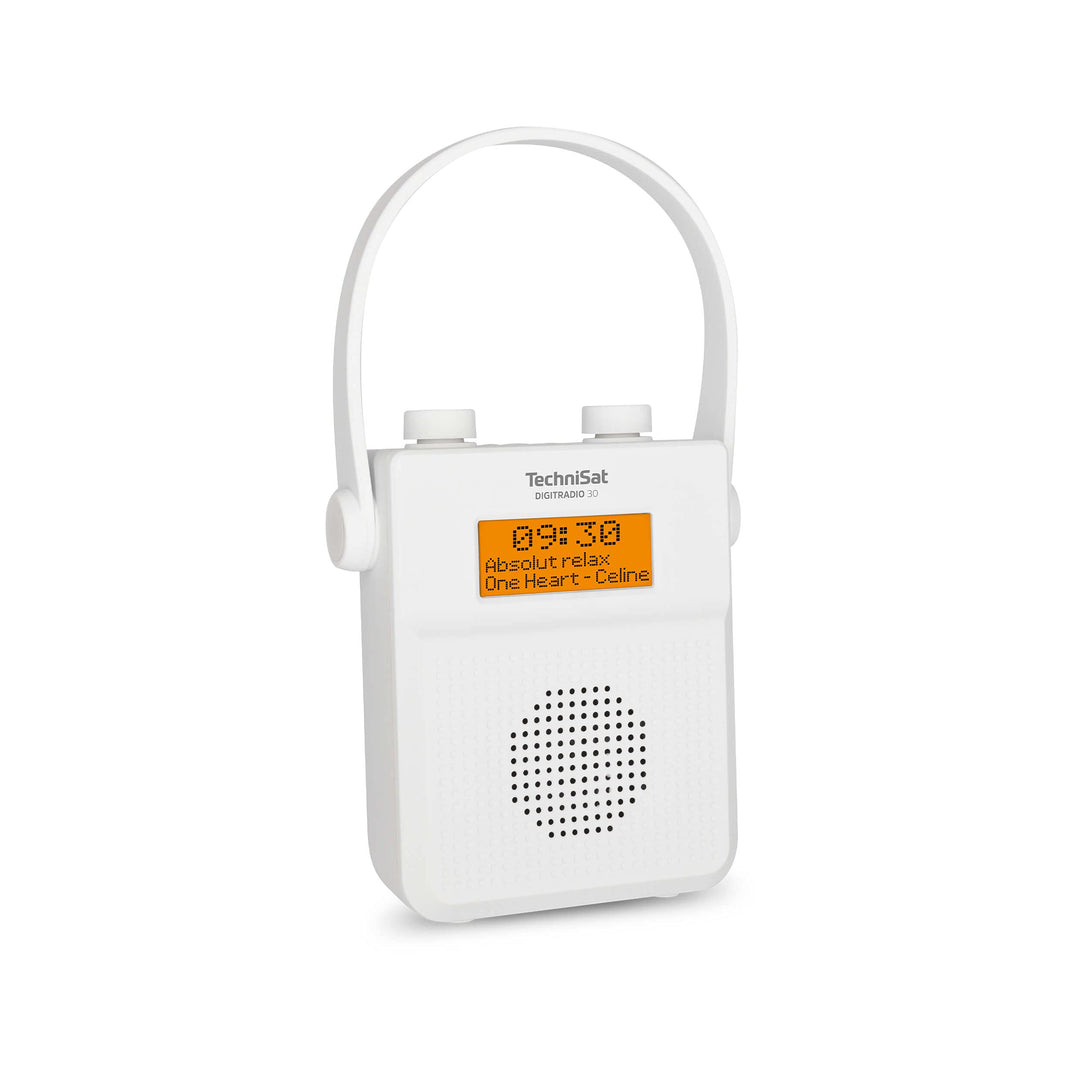 TechniSat DIGITRADIO 30 - wasserdichtes DAB+ Duschradio (UKW, DAB Digitalradio, integrierter Akku, B