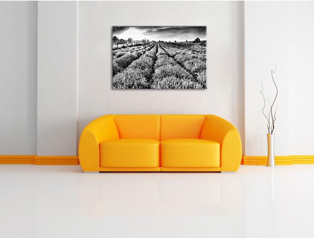 Pixxprint Monocrome, Lavendelfeld Provence, Format: 100x70 auf Leinwand, 100x70