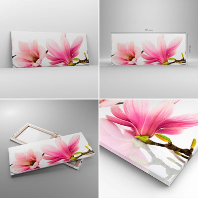 Wandbilder Dekoration Wohnzimmer Magnolie blume natur pflanze Panorama Bilder auf Leinwand 120x50cm