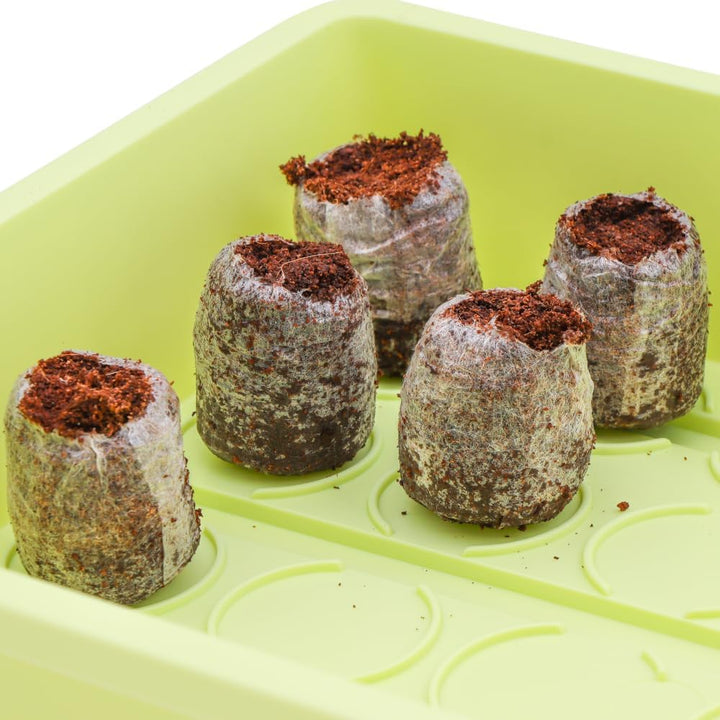 Siena Garden Zimmergewächshaus Uni-Grow, 38x24x18cm pastellgrün Normal, Normal