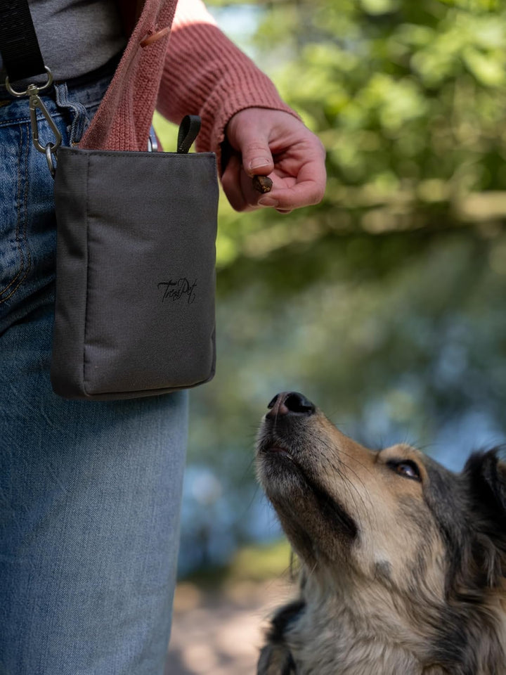 TrendPet Snaxx Leckerchenbeutel, Leckerlibeutel, Leckerlitasche für Hunde, in 3 Farben (Grau), Grau