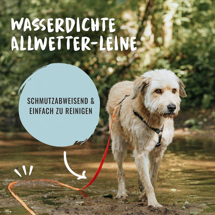 Rudelkönig Schleppleine für Hunde - 5m / 10m - Robuste & wetterfeste Hundeleine für eine erfolgreich