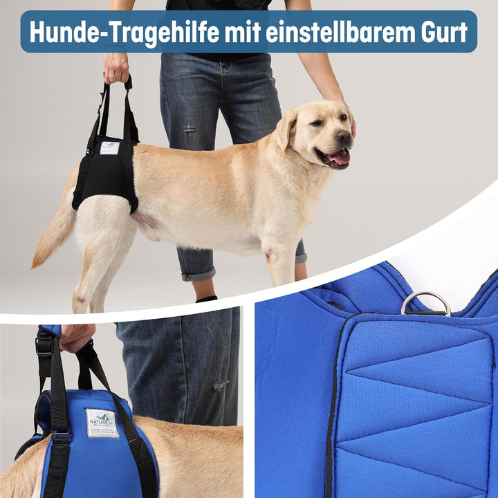 Hunde Tragehilfe XL Blau/ Hunde Gehhilfe / Hunde Rehahilfe, das Hilfsgeschirr für Probleme an der Wi