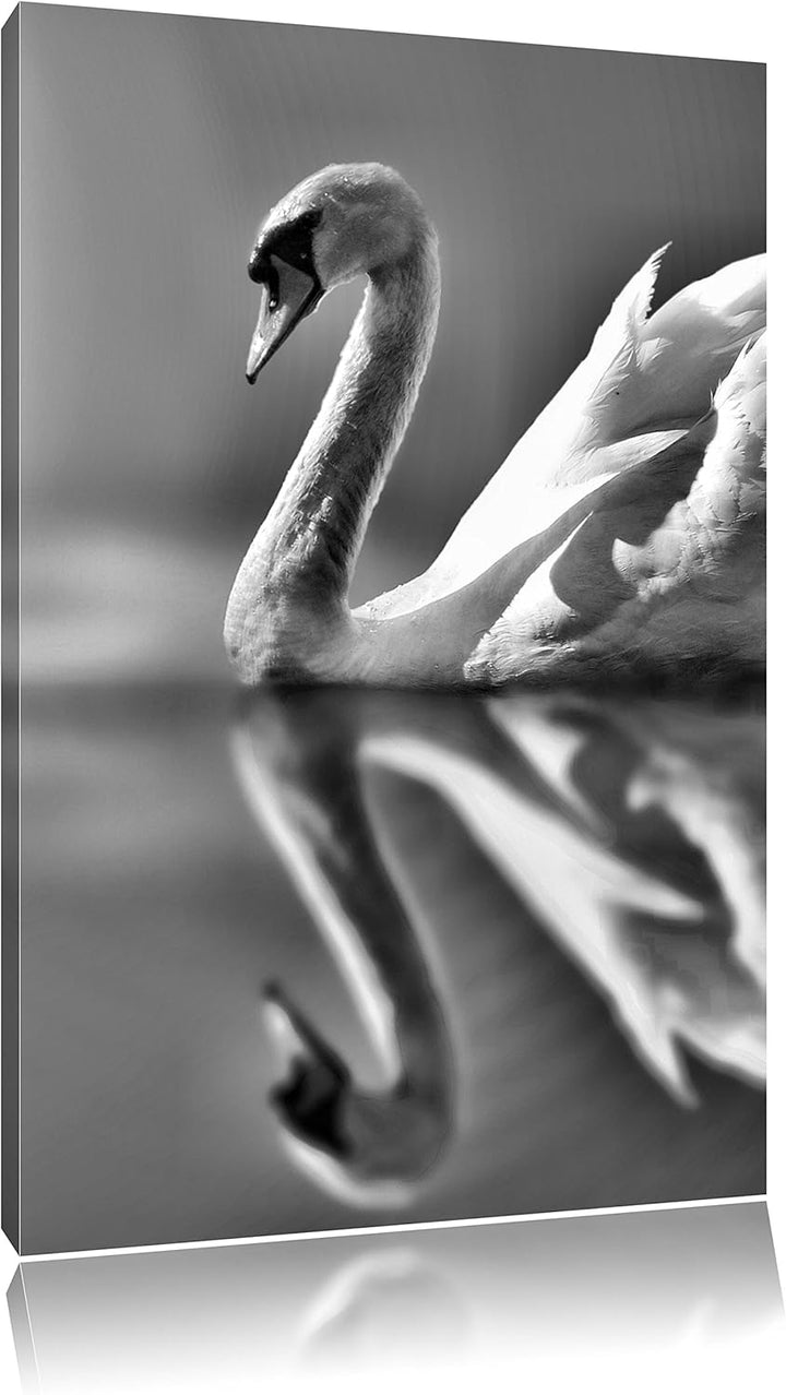 Pixxprint Monocrome, Edler Schwan auf See, Format: 100x70 auf Leinwand, 100x70