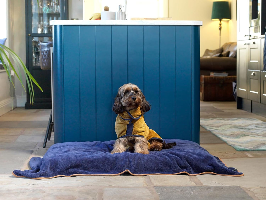 Lucky Paws® Hundehandtuch - luxuriöse 600g/m,140x80cm XL Hundehandtuch extra saugfähig - trocknet sc