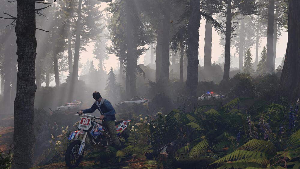 GTA 5 [FR] PEGI Multilingual [PS4]